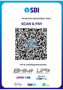 SBI-UPI-QR